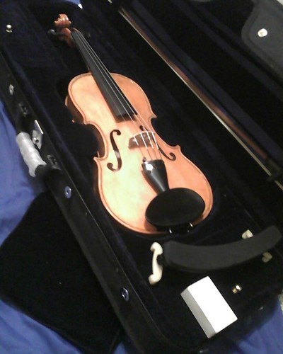 Violin kit