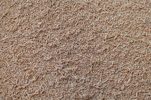 Planer Shavings Pile