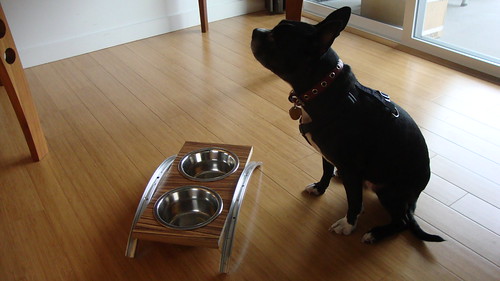 Pet Dish Stand