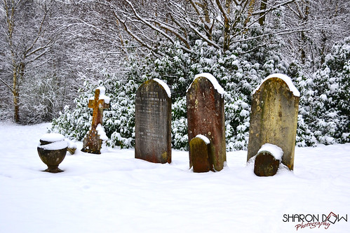 Snowy Gravestones