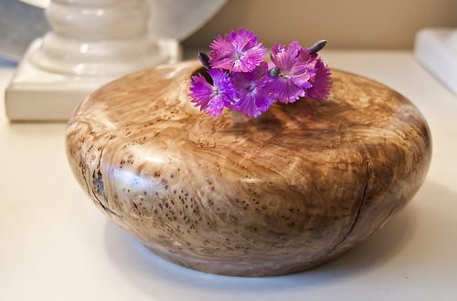 Olive Burl Vase