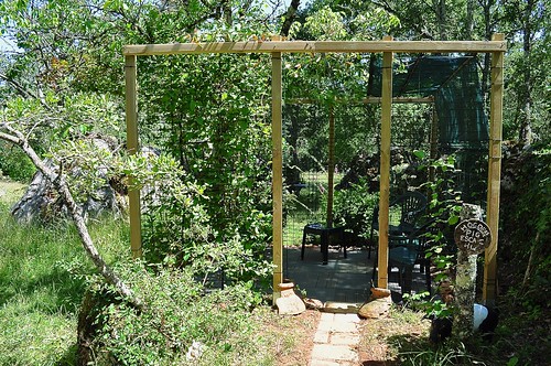 Pergola1