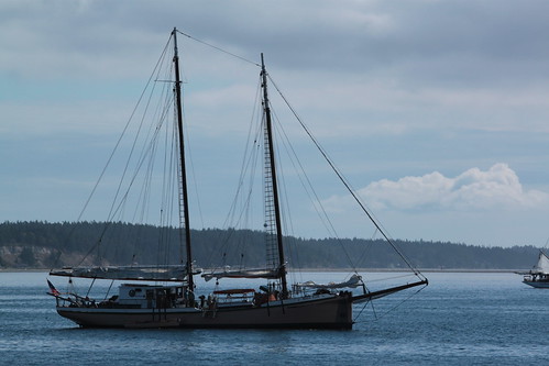 IMG_4828 - Port Townsend WA - WBF 2013 Wooden Boat Festival - Point Hudson - schooner SV MERRIE ELLEN at anchor