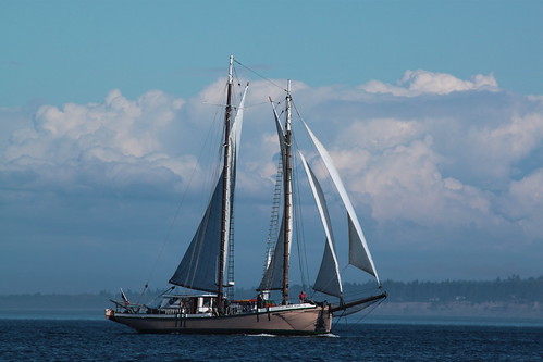 IMG_5764 - Port Townsend WA - WBF 2013 Wooden Boat Festival - Schooner Race - aboard SV PEGASUS XIV - halibut schooner SV MERRIE ELLEN