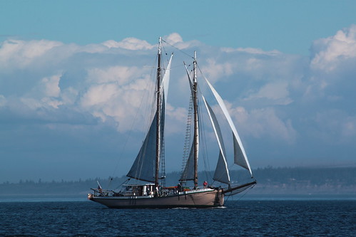 IMG_5759 - Port Townsend WA - WBF 2013 Wooden Boat Festival - Schooner Race - aboard SV PEGASUS XIV - halibut schooner SV MERRIE ELLEN