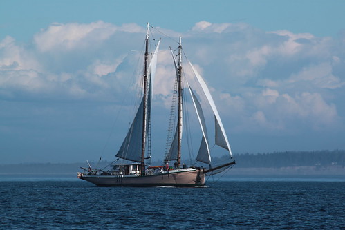 IMG_5745 - Port Townsend WA - WBF 2013 Wooden Boat Festival - Schooner Race - aboard SV PEGASUS XIV - halibut schooner SV MERRIE ELLEN