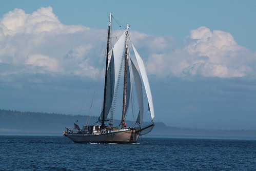 IMG_5775 - Port Townsend WA - WBF 2013 Wooden Boat Festival - Schooner Race - aboard SV PEGASUS XIV - halibut schooner SV MERRIE ELLEN