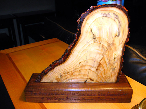 Pine collectable with Engraved base.