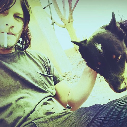 His Name Is Pepper - Posted By Norman Reedus (Daryl Dixon)