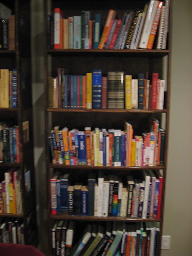 Our new bookshelves