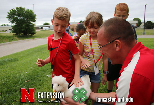 4-H Clover College 2018 - Clover Kids Day 3 Session 2 - 12