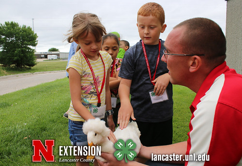 4-H Clover College 2018 - Clover Kids Day 3 Session 2 - 13