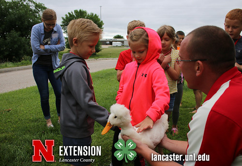 4-H Clover College 2018 - Clover Kids Day 3 Session 2 - 11