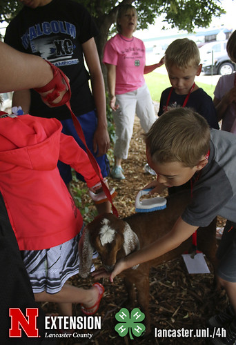 4-H Clover College 2018 - Clover Kids Day 4 Session 2 - 07