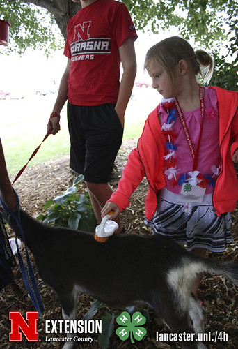 4-H Clover College 2018 - Clover Kids Day 4 Session 2 - 08