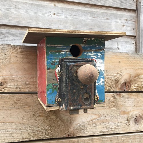 Knocked-out a quick #birdbox between spraying my bench. #