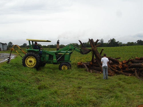 Picking the logs