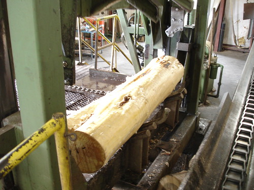 Osage Orange in the rotary cutter