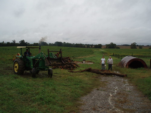 Selecting Osage Orange logs