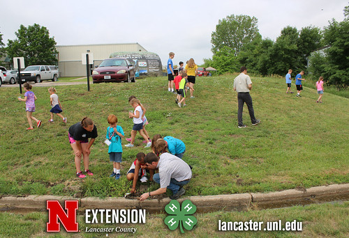 4-H Clover College 2018 - Clover Kids Day 1 Session 2 - 21