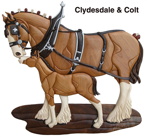 Intarsia Clydesdale & Colt