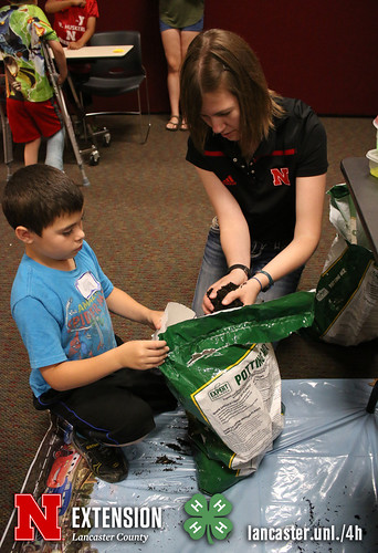 4-H Clover College 2017 - Clover Kids Day 1 Session 2 - 02