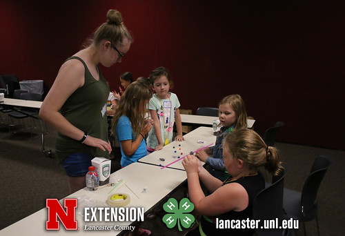 4-H Clover College 2017 - Clover Kids Day 1 Session 2 - 11