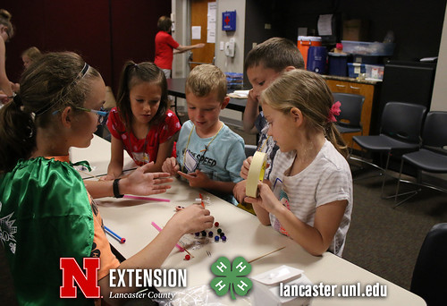 4-H Clover College 2017 - Clover Kids Day 1 Session 2 - 10