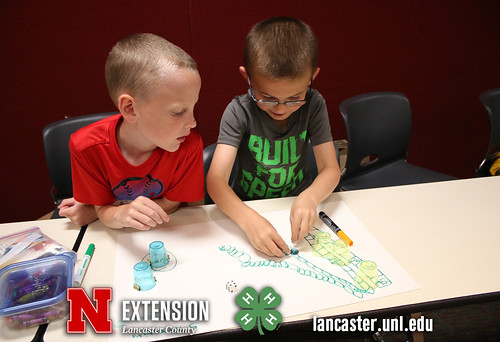 4-H Clover College 2017 - Clover Kids Day 2 Session 2 - 14