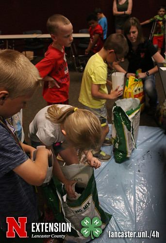 4-H Clover College 2017 - Clover Kids Day 1 Session 2 - 05