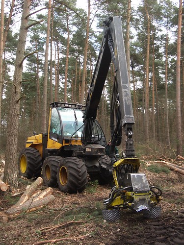 Erntemaschine für Bäume