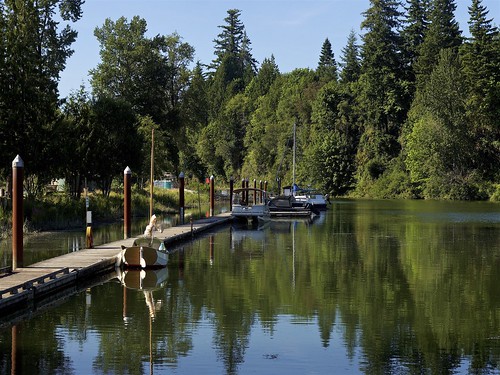 in the water, in Elochoman Slough Marina, Cathlamet, WA