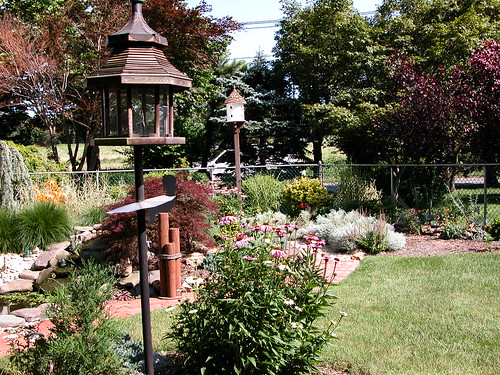 Bird feeder by the pond