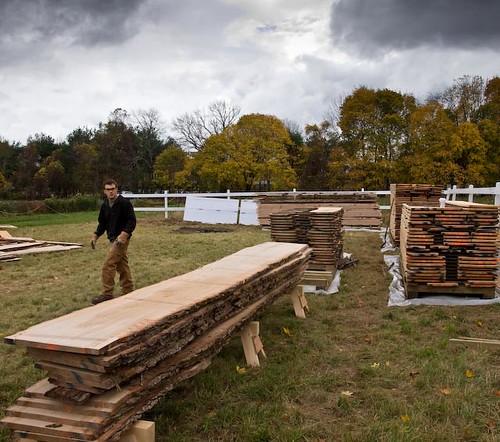 Barn Board Harvested on Site