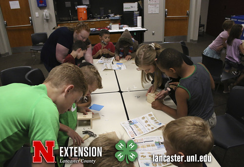 4-H Clover College 2018 - Clover Kids Day 4 Session 2 - 17