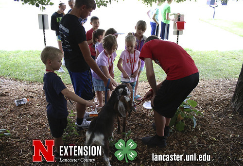 4-H Clover College 2018 - Clover Kids Day 4 Session 2 - 09