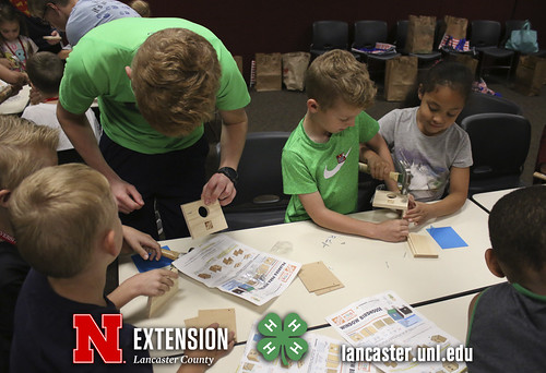 4-H Clover College 2018 - Clover Kids Day 4 Session 2 - 18