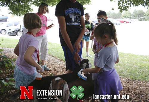 4-H Clover College 2018 - Clover Kids Day 4 Session 2 - 11