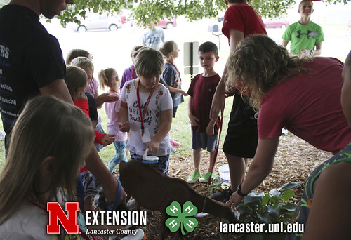 4-H Clover College 2018 - Clover Kids Day 4 Session 2 - 03