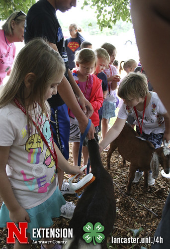 4-H Clover College 2018 - Clover Kids Day 4 Session 2 - 05