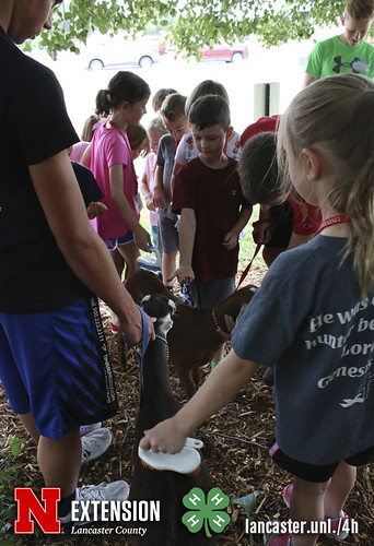 4-H Clover College 2018 - Clover Kids Day 4 Session 2 - 02