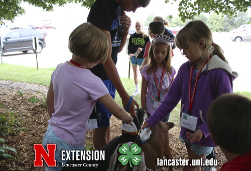 4-H Clover College 2018 - Clover Kids Day 4 Session 2 - 10