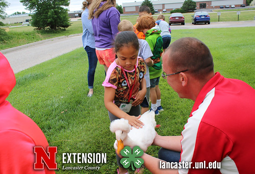 4-H Clover College 2018 - Clover Kids Day 3 Session 2 - 16