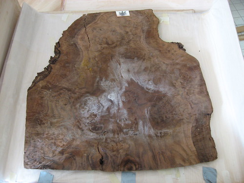 Burl Walnut Slab