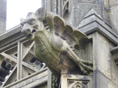 Gargoyle, Manchester Cathedral