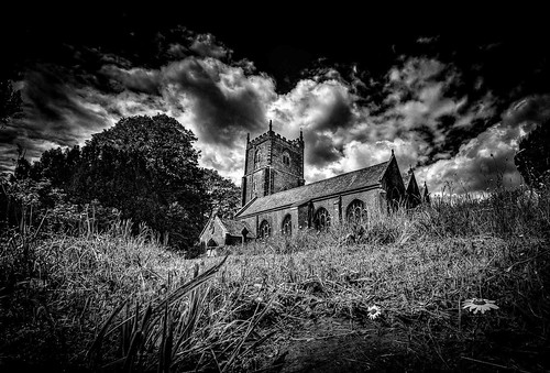 Flowers in the Grounds of Landulph Church