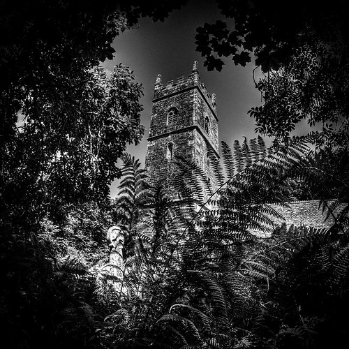 Tower in the Ferns