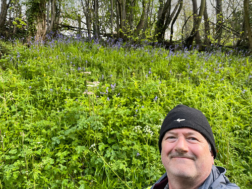 616/365 – Bluebell bank