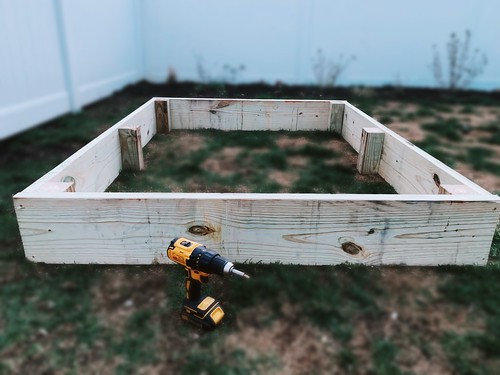 Raised Veggie Garden