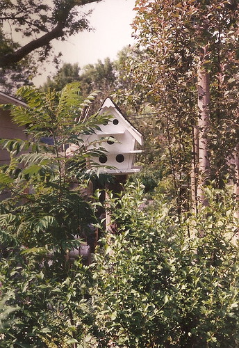 Deluxe Birdhouse 2006